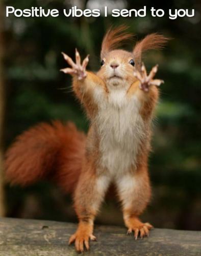 566777b8-08f3-4ad5-b34d-49078ae68f27