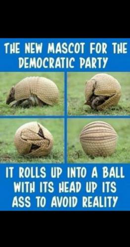 b7614581-d4ea-483b-9206-a2bff536a4c8