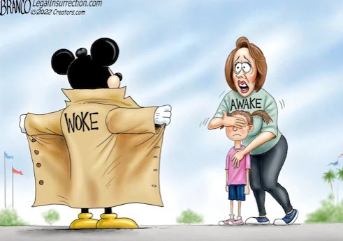branco-woke-dizney