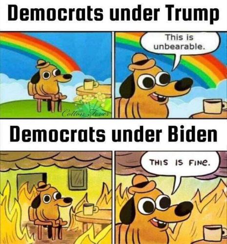 0969cc3d-4002-42a4-946f-b7f6d9abef9f