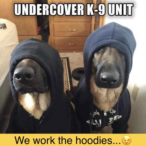 AC516B78-0109-4695-9B8F-6C3EBA20C6C0