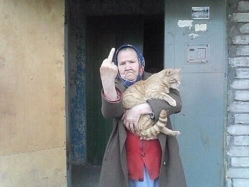 4db7cbb62113b5d7ebefd94a5d416920