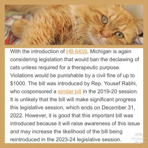 8200995C-76A5-4C6C-93D4-5FA3AB6175D6