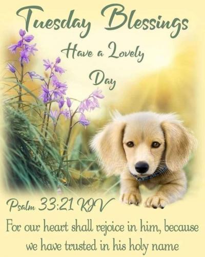 8065d4ab-91d5-4980-9af4-1afcf322ed71