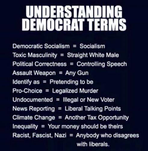 USA dem terms