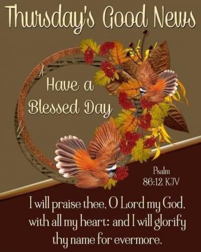 659200db-1a82-4f05-89c8-21f90e299e73