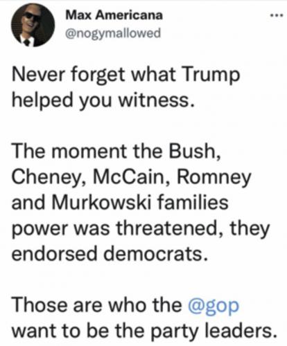 Rino scum endorsed dems