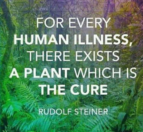 895329b7-c236-4802-bfe1-fa4f086257b3