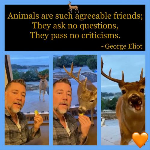 CCDAB50A-3254-47CD-BC9F-A6E662566234