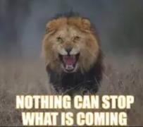 5892a2f7-cda9-46f3-ab8c-bd28af1da524