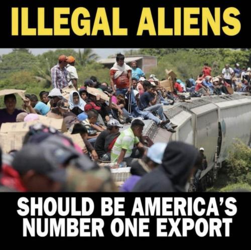 USA #1 export