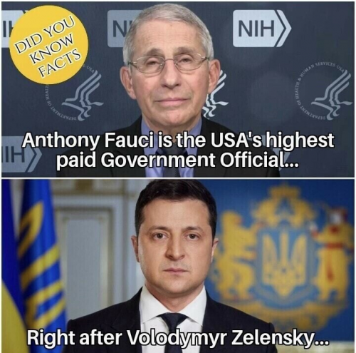 M highest paid
