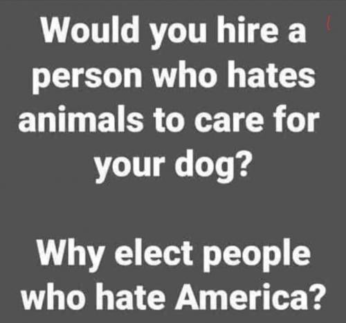 Hate America     (maga)