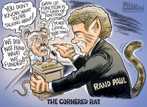 FauciLiberalCorneredRatAsTheyAllAre