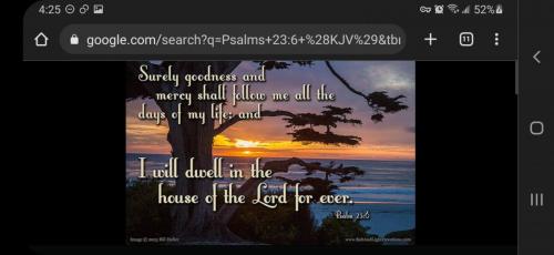 Screenshot_20221123-042533_Chrome