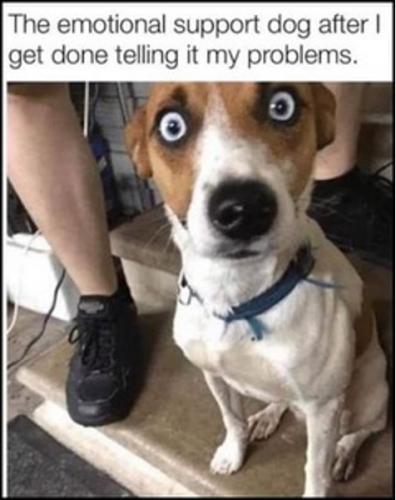 emotional support dog