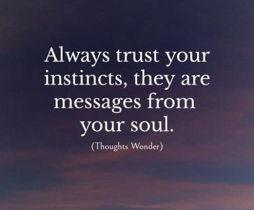110322 - Trust instincts