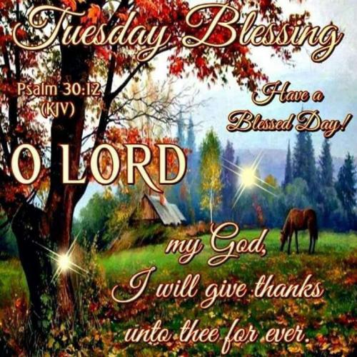 51ffc8a9-ffcb-4c80-9de8-2a14f202d453