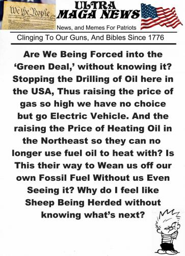 M MAGA News herded