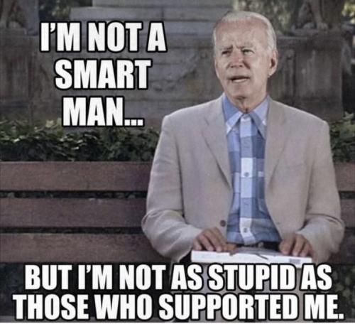 Brainless Biden