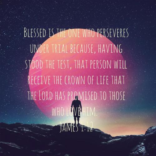 af618ef1-ff20-4c5a-9535-507fac133620