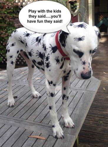 Halloween - Dalmation...