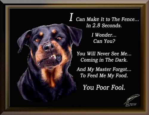 Rottweiler ~Crossing The Line~