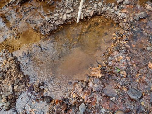 IMG_20221121_132042905_HDR