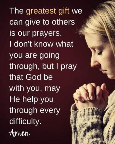 img (11)