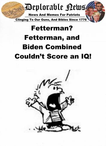 M IQ