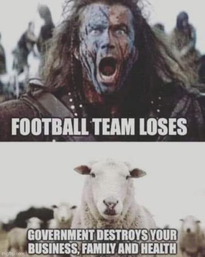 Cr5sQ2AiG9qhQIlQkJhV_url_image
