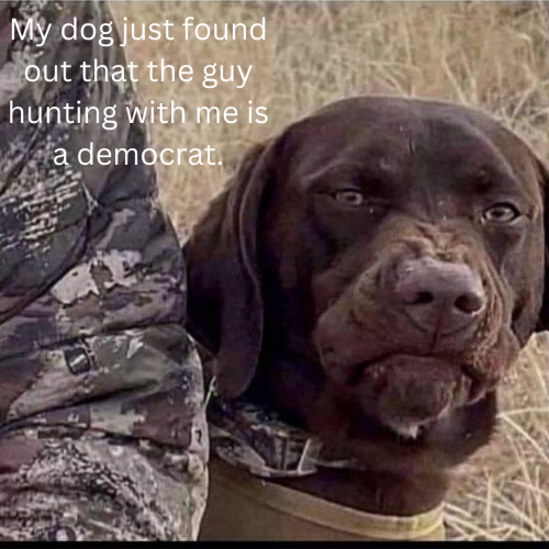 Mad Dog