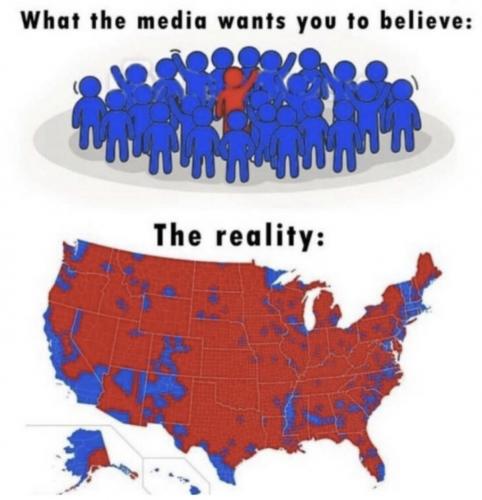 MSM vs reality