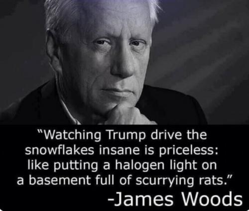 Snowflakes crazy by Trump