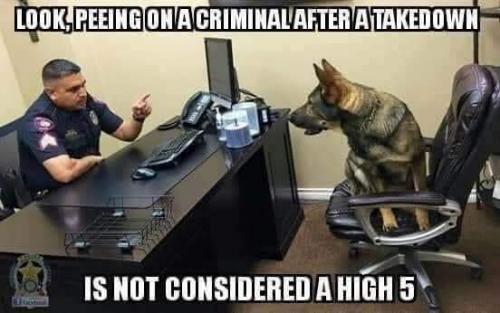 FB_IMG_1652692433928