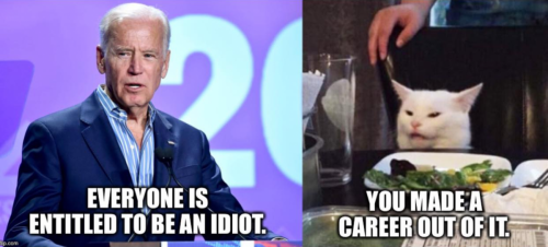 M idiot career