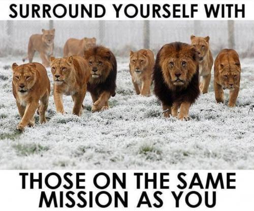 M surround
