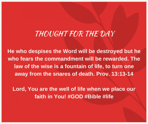 TWEET 11-22-22