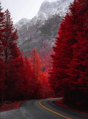 2db41d5d-8519-42cb-bbf4-428c4c46980b