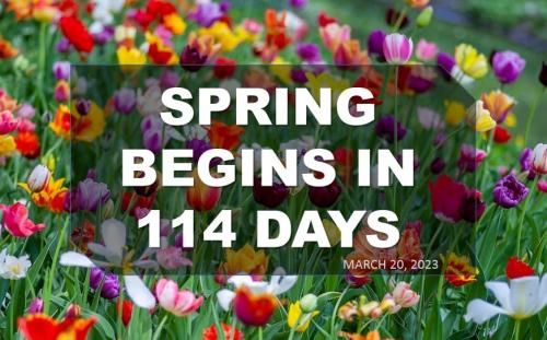 317084351_664116051971745_7573905129322465191_n