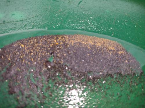 IMG_20221124_123448841