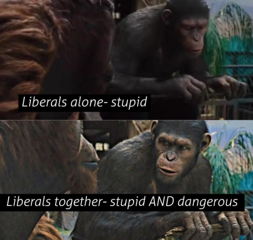 USA Liberals