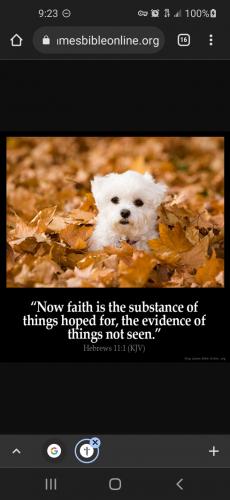 Screenshot_20221128-092308_Chrome