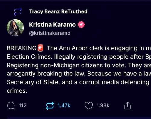 2022 Election Crimes ~Ann Arbor Cleck~