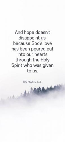 d8f7c419-0f53-4d6c-8a68-87a247f0903f