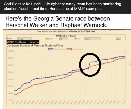 GA senate cheat