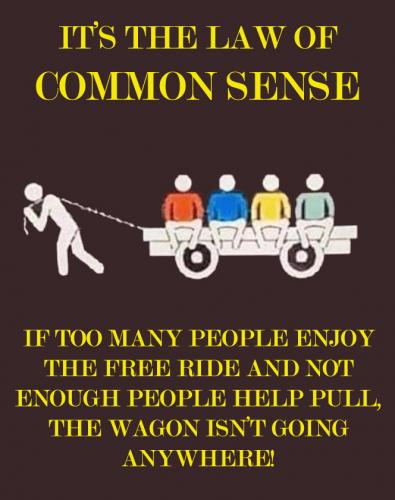 Common sense