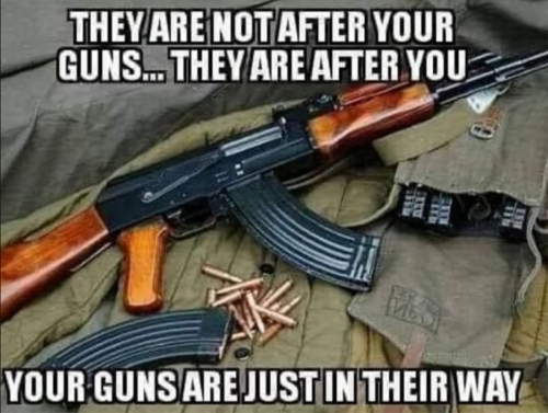 USA guns