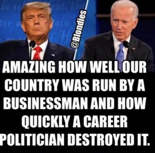 career politician