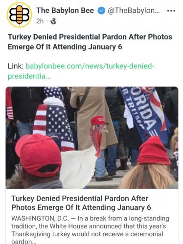 Screenshot_20221121-173039_Samsung Internet